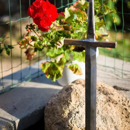 Il Sasso Di San Galgano *