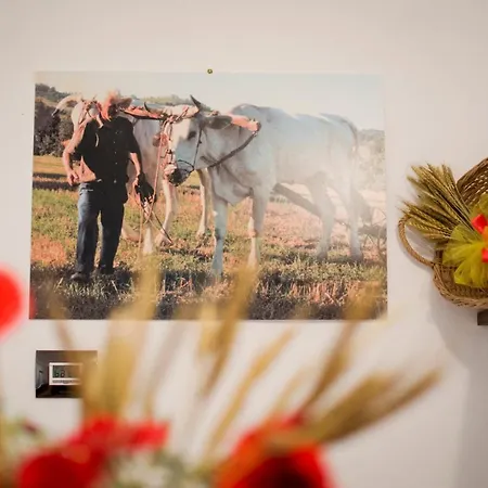 Κατάλυμα σε φάρμα Il Sasso Di San Galgano