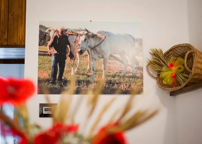 ファームステイ Il Sasso Di San Galgano